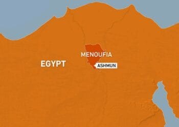 Teen labourers among 19 killed in horrific road collision in Egypt
