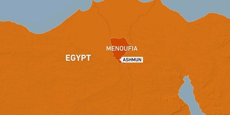 Teen labourers among 19 killed in horrific road collision in Egypt