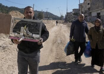 Tens of thousands of Palestinians seek shelter after Israeli assaults across the West Bank