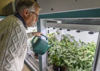 The USAID shutdown is upending livelihoods for nonprofit workers, farmers and other Americans