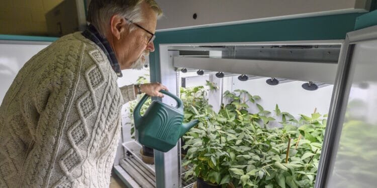 The USAID shutdown is upending livelihoods for nonprofit workers, farmers and other Americans