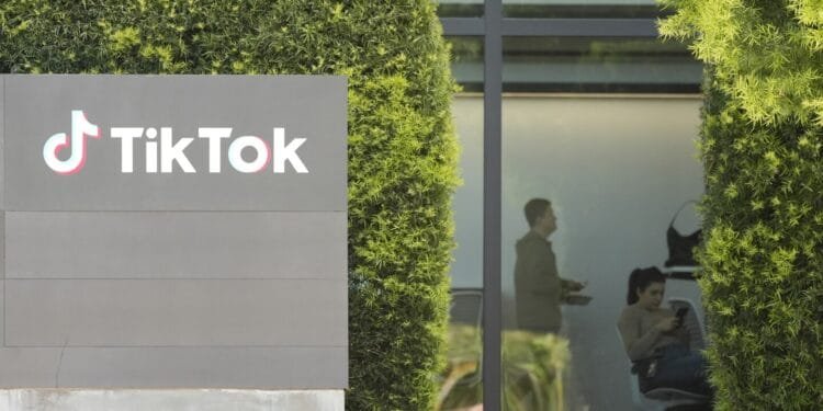 The rise - and potential fall - of TikTok in the US