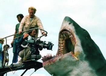 The shark's not working'