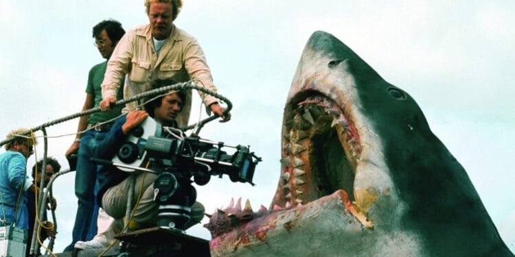 The shark's not working'