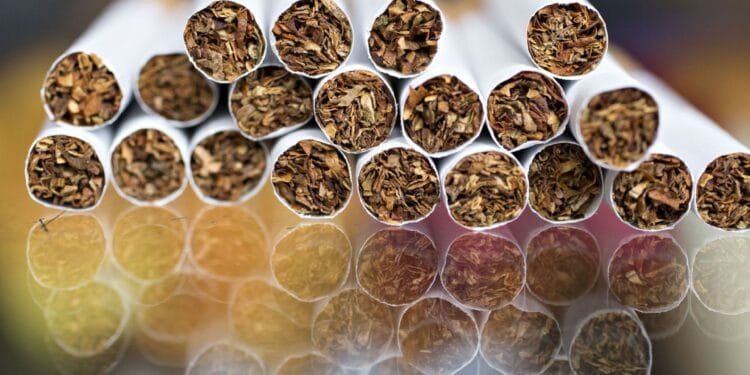 The tobacco epidemic is still one of the world’s deadliest threats 1 The tobacco epidemic is still one of the world’s deadliest threats