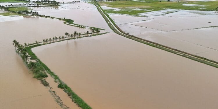 Thousands evacuate Philippine coast as Tropical Storm Fengshen approaches