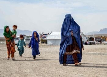 Thousands of Afghan refugees cross border from Pakistan: IOM