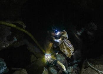 Torrential rains collapse Venezuelan gold mine killing 14