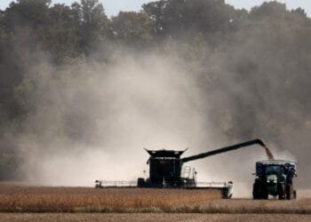 Trump-China tariff war: Who’s winning so far?