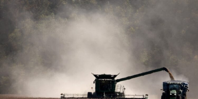 Trump-China tariff war: Who’s winning so far?