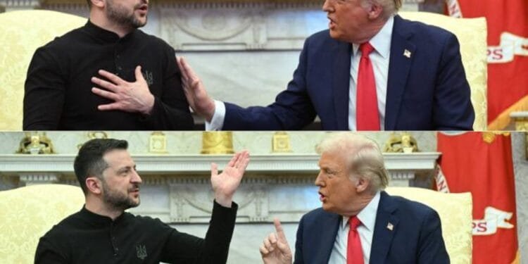 Trump-Zelensky shouting match stuns world leaders 1 Trump-Zelensky shouting match stuns world leaders