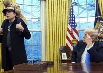 Trump and Musk say they like working together and will keep it at. Will it last?