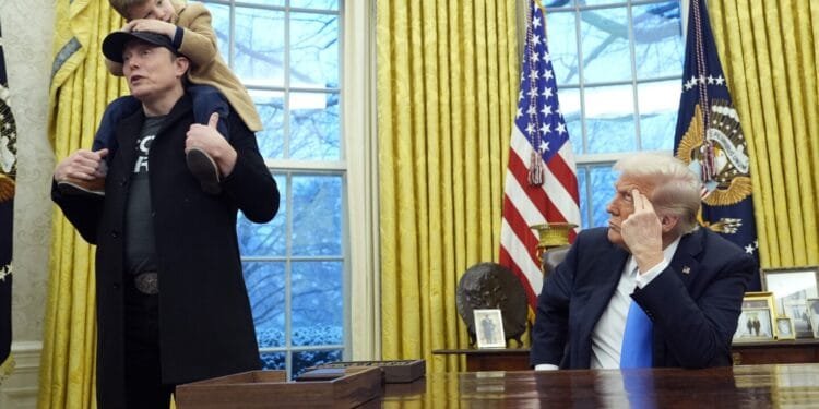 Trump and Musk say they like working together and will keep it at. Will it last?