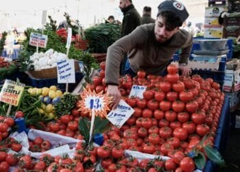 Turkish annual consumer price inflation slows to 39.05% in February