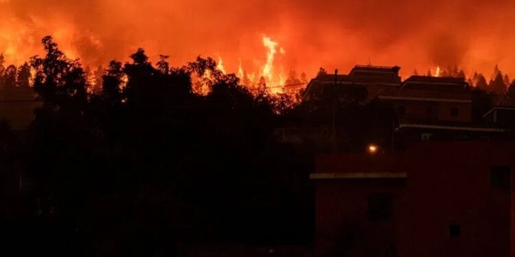 Two dead in Spain fire as heatwave scorches Europe