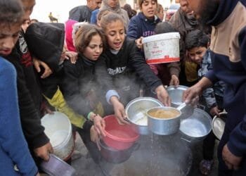 'Two weeks' of food supplies left in Gaza, says UN agency