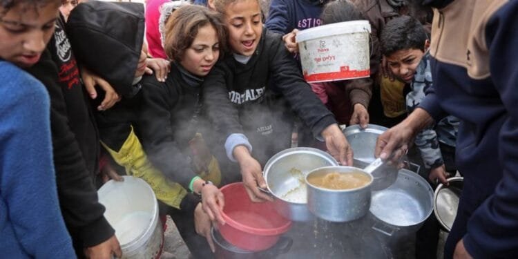 'Two weeks' of food supplies left in Gaza, says UN agency