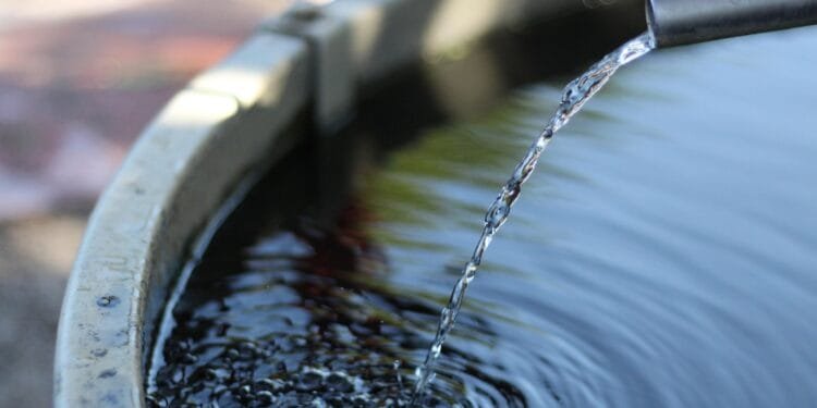 Two-year-old Pakistani child drowns in bucket of water in Ras Al Khaimah 1 Two-year-old Pakistani child drowns in bucket of water in Ras Al Khaimah