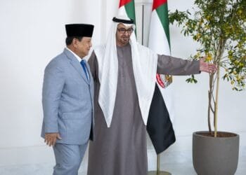 UAE, Indonesia Presidents discuss economy, energy