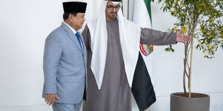 UAE, Indonesia Presidents discuss economy, energy