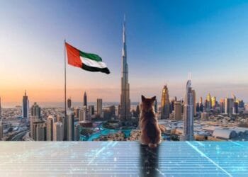 UAE Ministry of Energy and Infrastructure partners with Shiba Inu to advance digital transformation