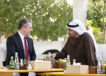 UAE President, Kurdistan PM explore ways to enhance cooperation