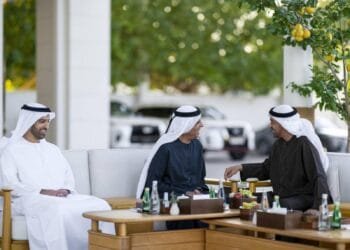 UAE President, RAK Ruler discuss citizens' well-being