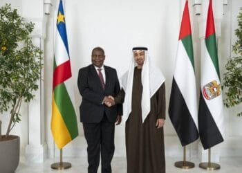 UAE President vows to enhance ties with African countries