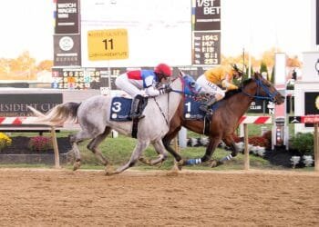 UAE President’s Cup showcases elite Purebred Arabians on Preakness Stakes