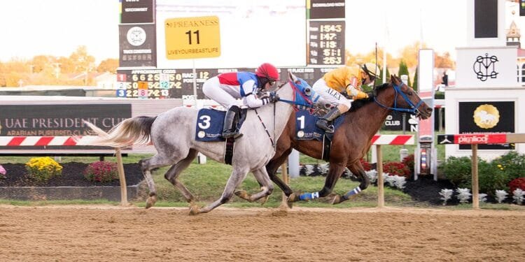 UAE President’s Cup showcases elite Purebred Arabians on Preakness Stakes