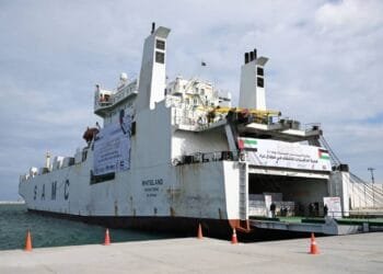 UAE aid ship with 5,800 tonnes of relief materials for Gaza reaches Al Arish Port