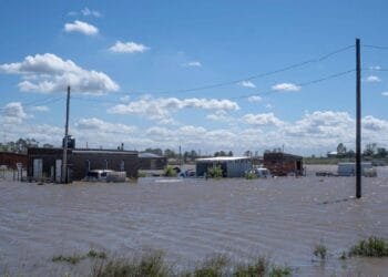 UAE expresses solidarity with Argentina, conveys condolences over victims of heavy rainfall