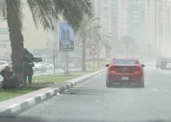 UAE likely to receive light rain on Friday, says NCM