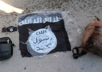 UK, France carry out joint strike on ISIL target near Syria’s Palmyra