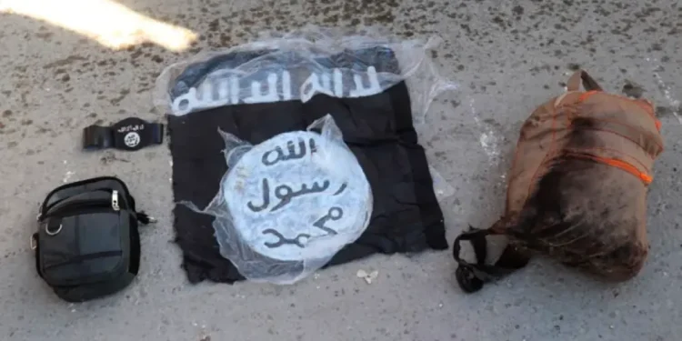 UK, France carry out joint strike on ISIL target near Syria’s Palmyra