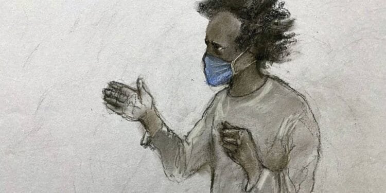 UK child stabbing spree killer gets life in custody