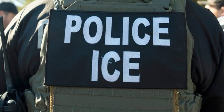 UK journalist Sami Hamdi detained in US amid pro-Israel lobby pressure