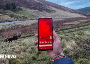 A man holds a mobile phone in the middle of a mountain in West Wales, tere is green space and blue sky, with a river and a dog.