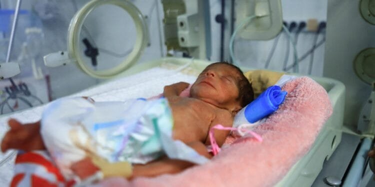 UN reports uptick in preventable diseases in Gaza due to Israeli blockade