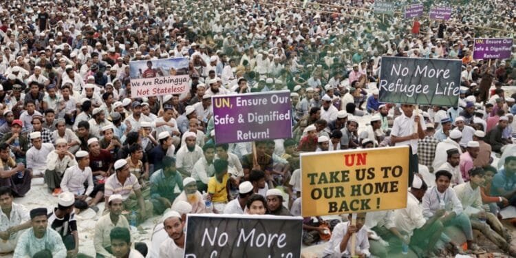 UN seeks nearly $1b in aid for Rohingya refugees