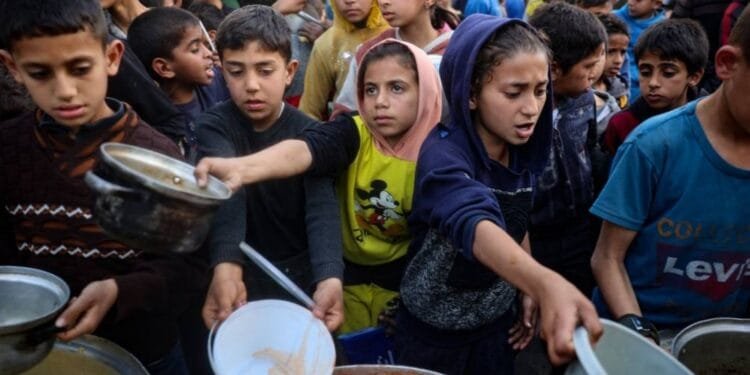 UNRWA collapse would doom generation of Palestinian children: Lazzarini