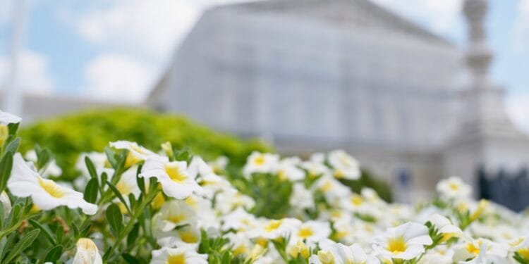 US Supreme Court says Trump can remove Democrats from consumer safety panel