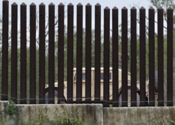US adults want border security action but mostly oppose arrests in schools, churches: AP-NORC poll