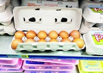 US imports eggs from Korea, Turkey to help ease prices