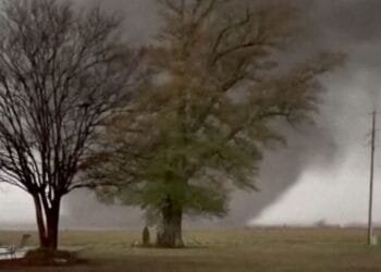 Violent storms cut through the South and Midwest, spawning tornadoes and killing 1 person