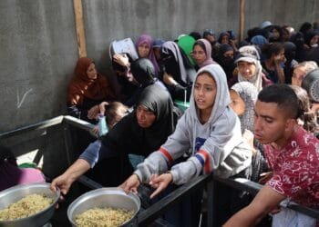 WFP says food supplies to Gaza below targets, urges more crossings to open