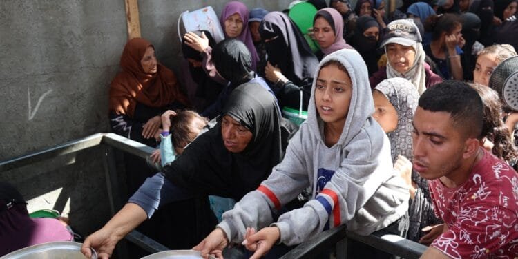 WFP says food supplies to Gaza below targets, urges more crossings to open 1 WFP says food supplies to Gaza below targets, urges more crossings to open