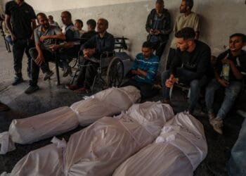 We survived the war, we may not survive the ceasefire