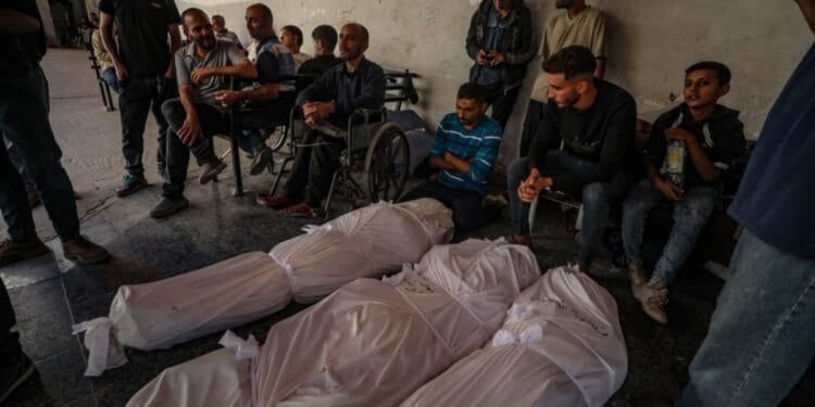 We survived the war, we may not survive the ceasefire