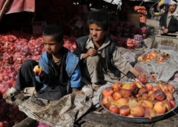 What Afghanistan’s rotten apples tell us about its non-profit sector 2 What Afghanistan’s rotten apples tell us about its non-profit sector